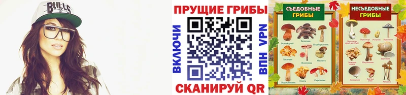 Галлюциногенные грибы GOLDEN TEACHER MEGA ссылки Невель
